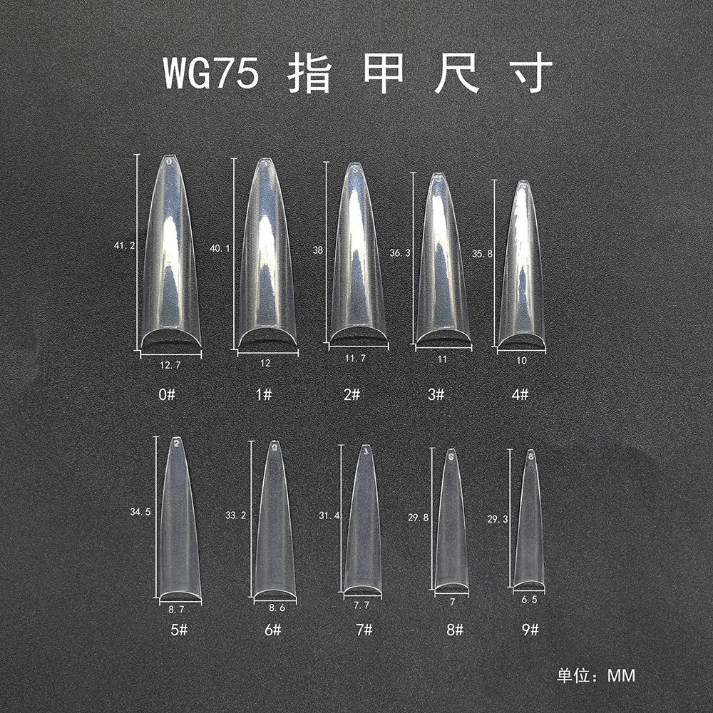 指甲白底实物图