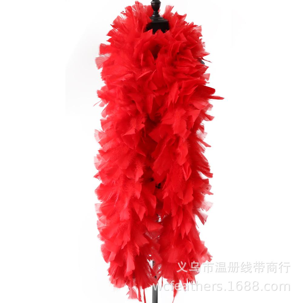 温册平板毛条羽毛拍摄道具T台走秀装饰羽毛条节日装扮服装辅料白底实物图