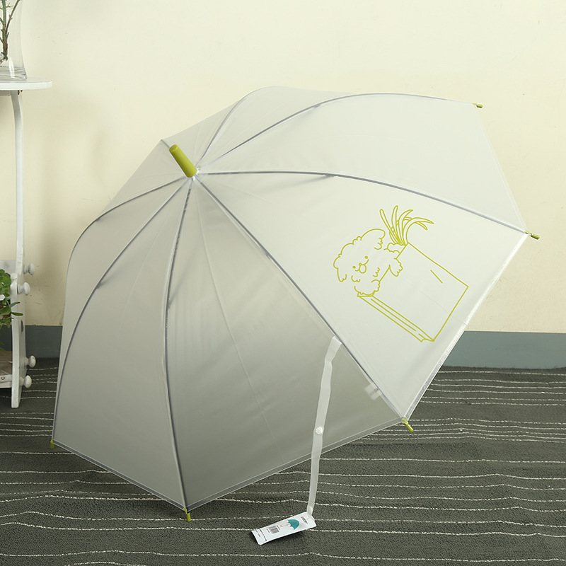 韩版马卡龙彩色透明雨伞直杆长柄自动雨伞卡通可爱雨伞工厂定制细节图