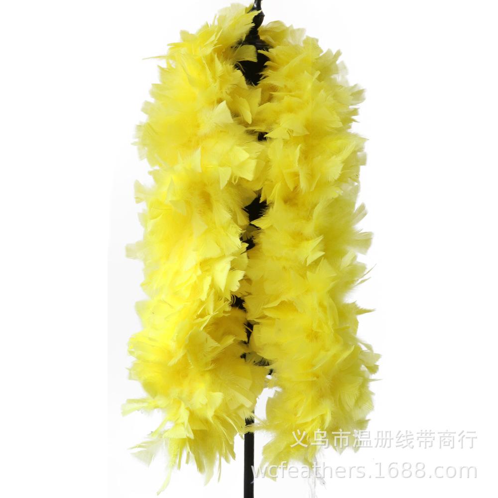 温册平板毛条羽毛拍摄道具T台走秀装饰羽毛条节日装扮服装辅料详情图19