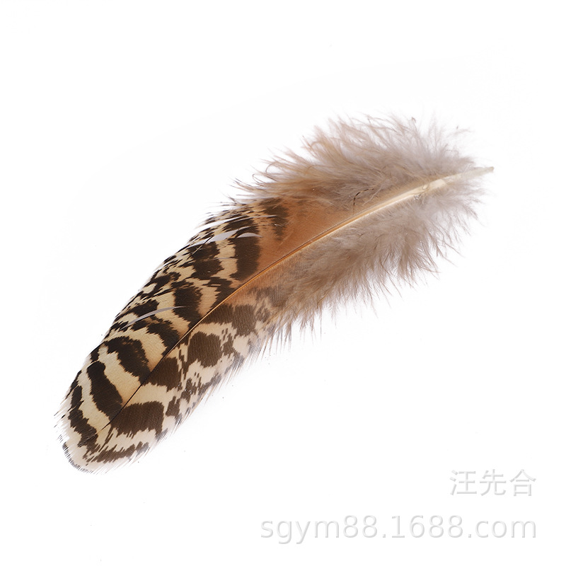 批发孔雀花斑羽毛10-15公分 自然色 饰品服饰配件羽毛细节图