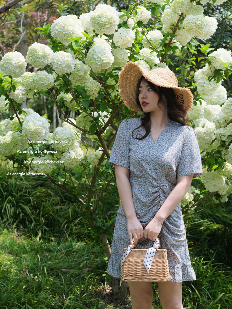 JML Ginger Wheat Grain French V-neck Picnic blue floral pleated high-waisted tea break dress Slimming short dress