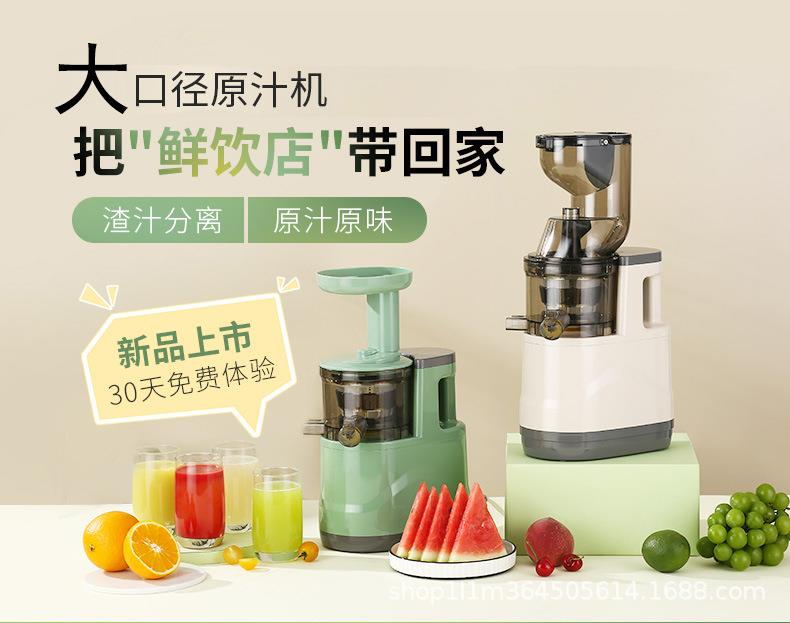 生姜榨汁神器挤压姜机专用姜汁小型家用渣汁分离器打老姜汁电动详情1