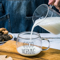 Pyrex glass with handle milk glass breakfast glass glass water glass