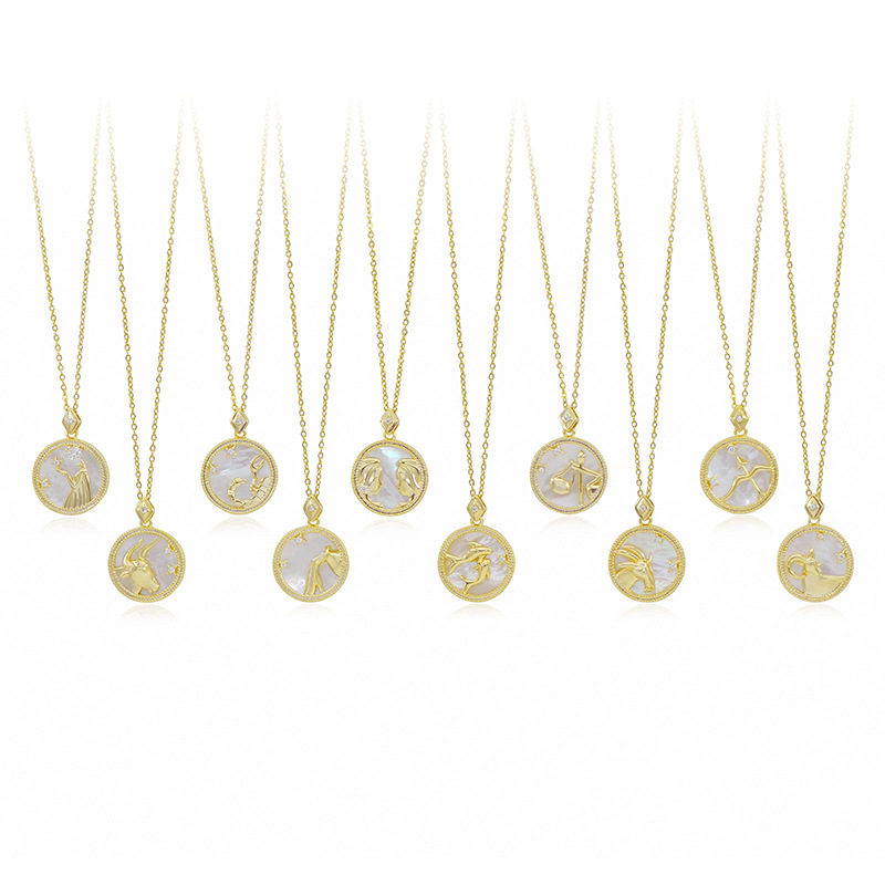 Original Design Twelve Constellation Necklace White Frimedary Pendant Collarbone Chain Jewelry Jewelry Europe And The United States Burst A Piece Of Hair