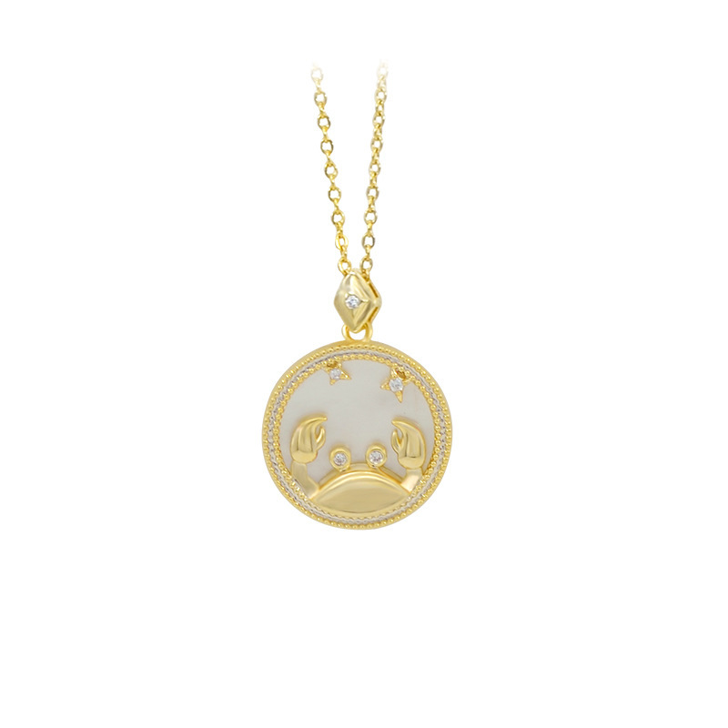 Original Design Twelve Constellation Necklace White Frimedary Pendant Collarbone Chain Jewelry Jewelry Europe And The United States Burst A Piece Of Hair Item Picture