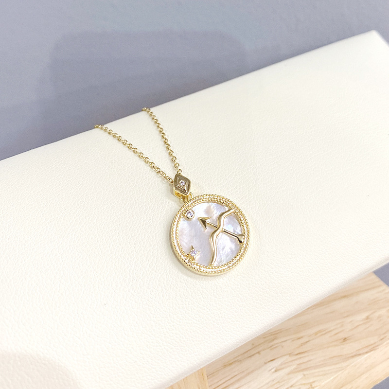 Original Design Twelve Constellation Necklace White Frimedary Pendant Collarbone Chain Jewelry Jewelry Europe And The United States Burst A Piece Of Hair Application Scenario