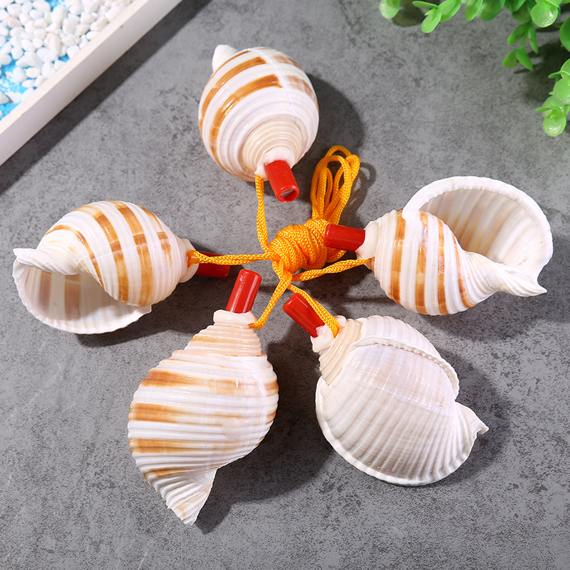 贝壳/海螺/贝壳海螺/风铃装饰/海螺工艺品产品图