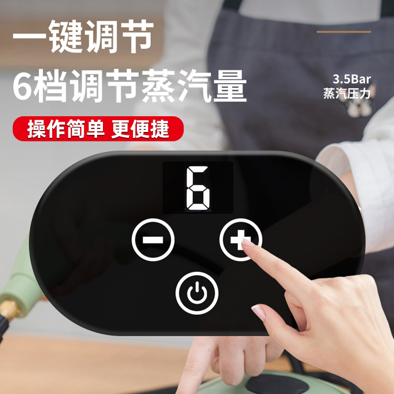 跨境高压高温蒸汽清洁机小型家用消毒空调厨房油烟机清洗机洗车机产品图