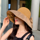 帽子女夏季韩版菠萝纹彩胶渔夫帽空顶防晒帽太阳帽印花大檐遮阳帽  遮阳帽
