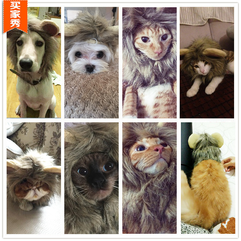 Halloween Dress Up Cats And Dogs Selling Cute Universal Adjustable Velcro Autumn And Winter Lion Pet Hat details Picture