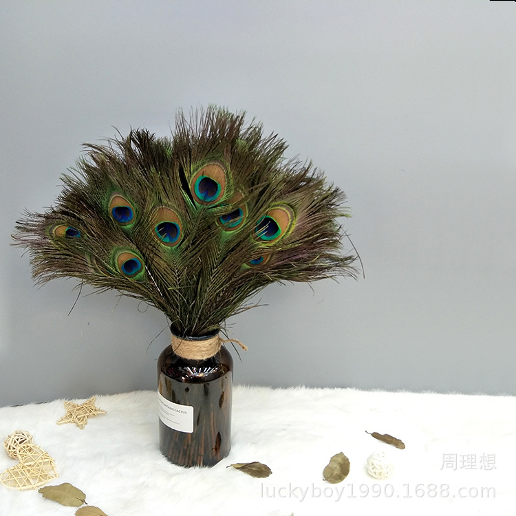 孔雀毛厂家现货精挑25-30cm 大眼  羽毛扇子插花装饰 DIY羽毛饰品