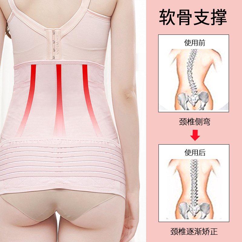 import白底实物图