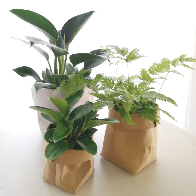 Spot German Washable Kraft Paper Bag Refrigerator Storage Bag Can Print Logo Shooting Decoration Nordic Wind Paper Flowerpot