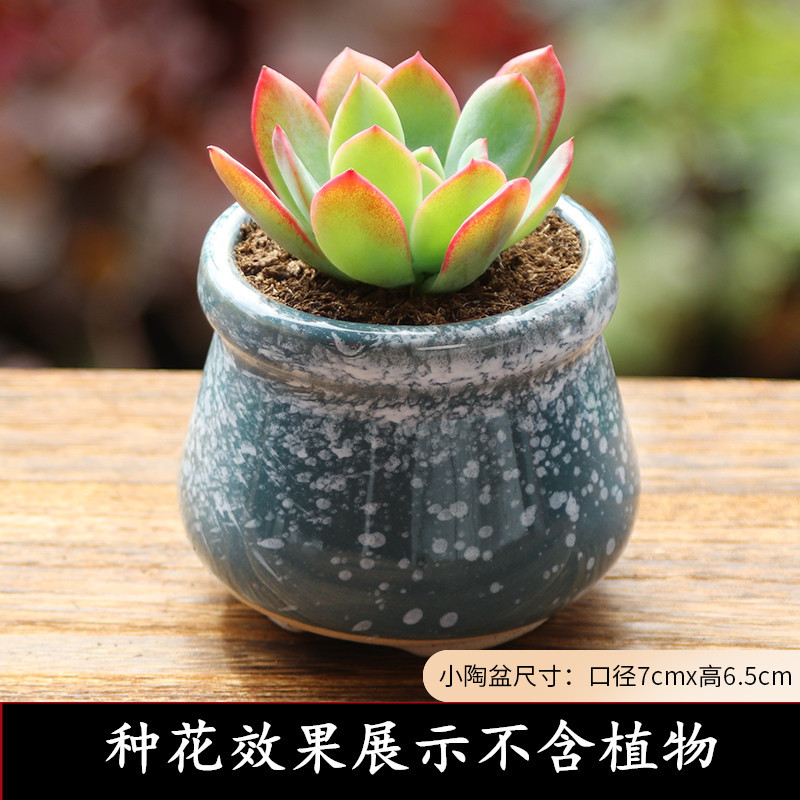 花盆容器实物图