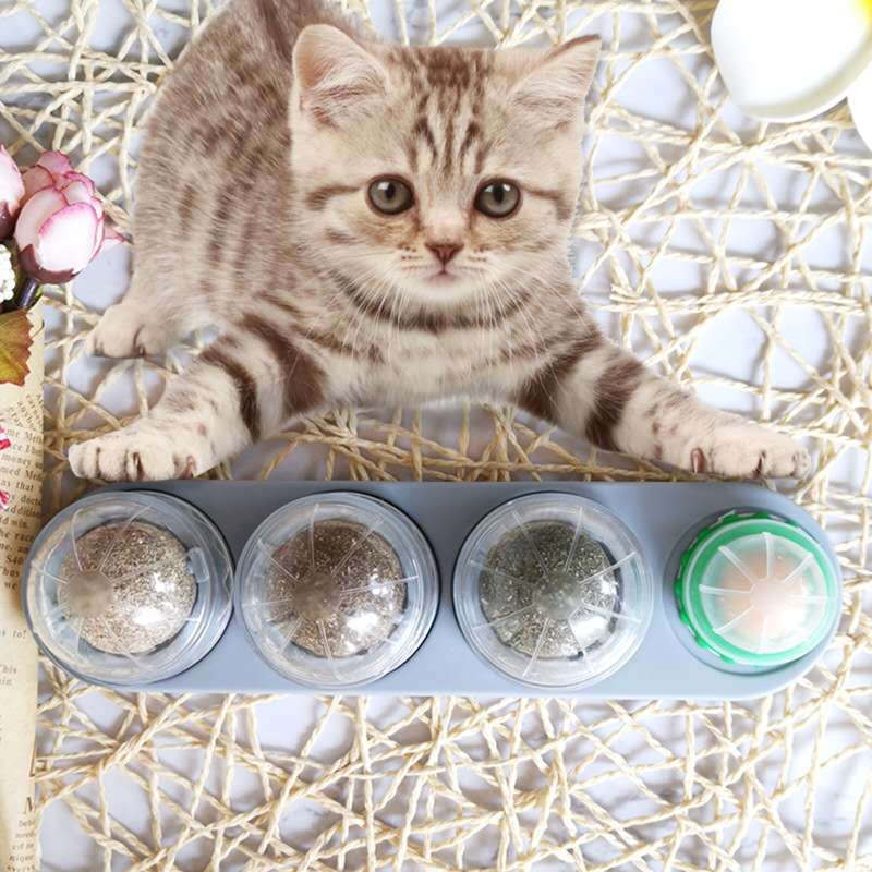 猫猫玩具实物图