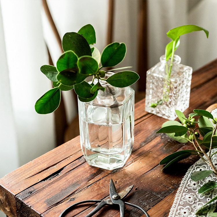 Japanese Transparent Glass Vase Creative Home Decoration Decoration Tabletop Hydroponic Flowers Flower Arrangement Vessel Small Wholesale Application Scenario
