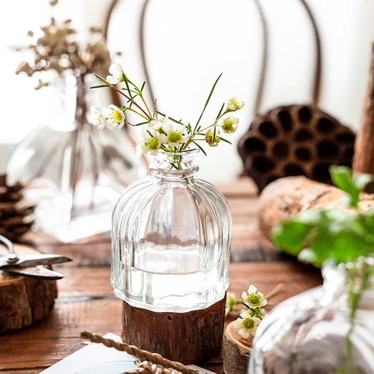 Japanese Transparent Glass Vase Creative Home Decoration Decoration Tabletop Hydroponic Flowers Flower Arrangement Vessel Small Wholesale Specification drawing