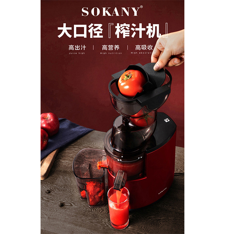 Cross-border SOKANY25 juicer, household residue and juice separation, multi-functional fruit, vegetable and meat juicer, original juicer details Picture