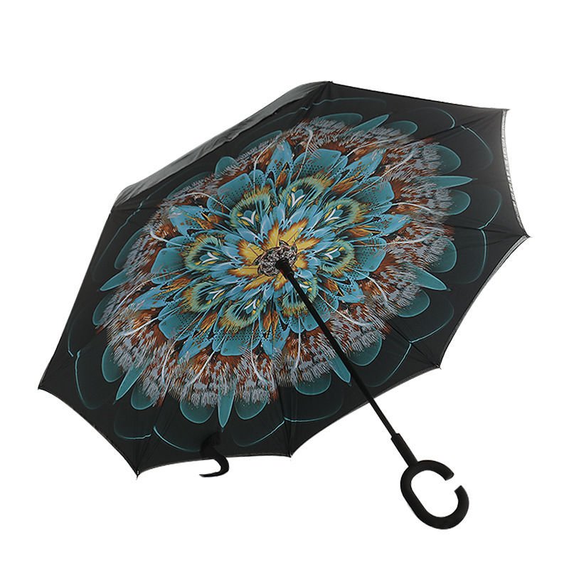 import白底实物图