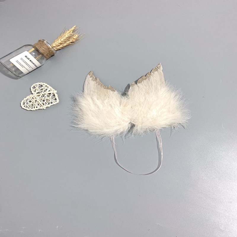 彩色羽毛小翅/天使羽毛翅膀白底实物图