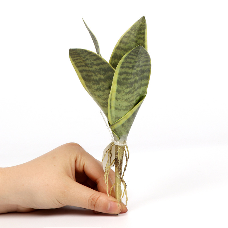 Simulation Flower Green Plant Fleshy Tiger Piran Bonsai Decoration Indoor Living Room Decoration Photography Props Manufacturers Direct Sales Item Picture
