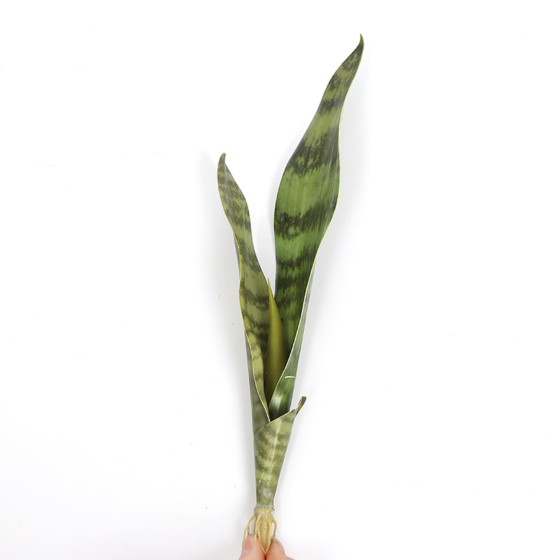 Simulation Flower Tiger Pilan Plant Wall Green Wall Ins Nordic Home Simulation Meaty Fake Flower Manufacturers Wholesale Item Picture