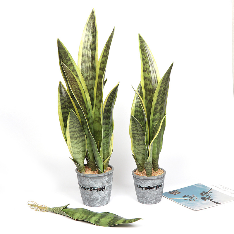 Simulation Flower Tiger Pilan Plant Wall Green Wall Ins Nordic Home Simulation Meaty Fake Flower Manufacturers Wholesale Application Scenario