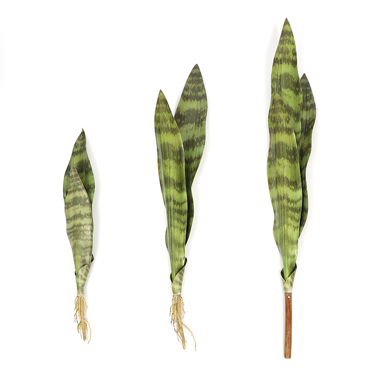 Simulation Flower Tiger Pilan Plant Wall Green Wall Ins Nordic Home Simulation Meaty Fake Flower Manufacturers Wholesale details Picture
