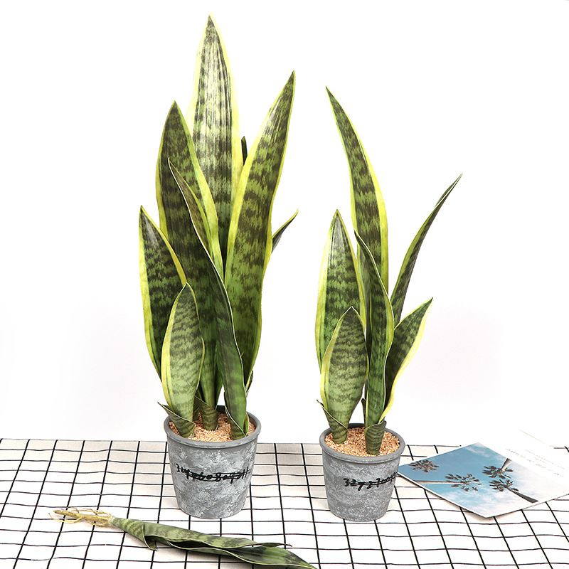 Simulation Flower Tiger Pilan Plant Wall Green Wall Ins Nordic Home Simulation Meaty Fake Flower Manufacturers Wholesale Specification drawing