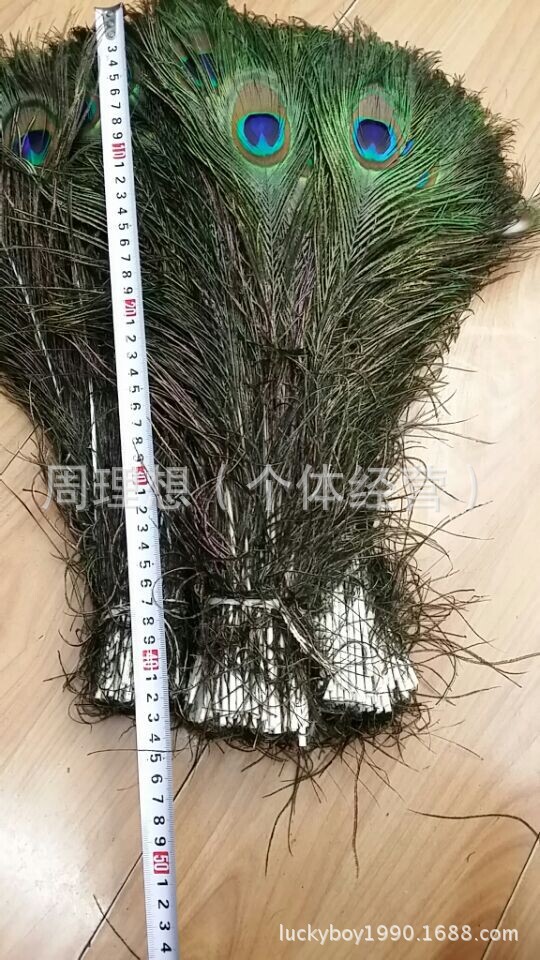 وكانت المصادر المنتجة المنتجة للريش مزخرفة في مسرح منزلي بعلب هدايا من طراز Poo-70CM من طراز الطاووس details Picture