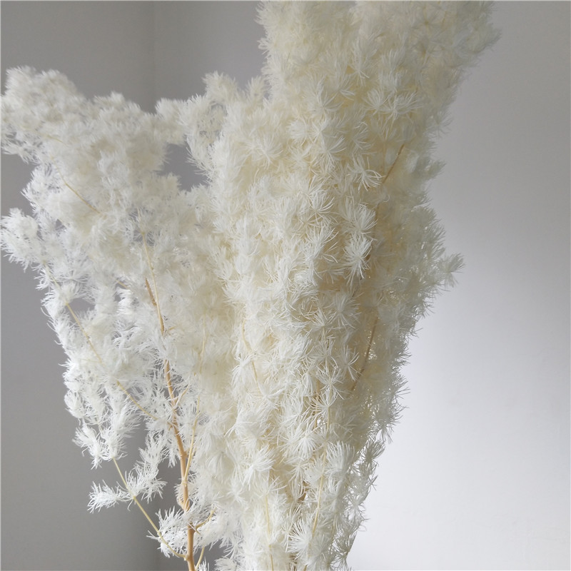 Yunnan source manufacturer's fresh-keeping, preserved and dried Penglai pine flowers for home decoration Application Scenario