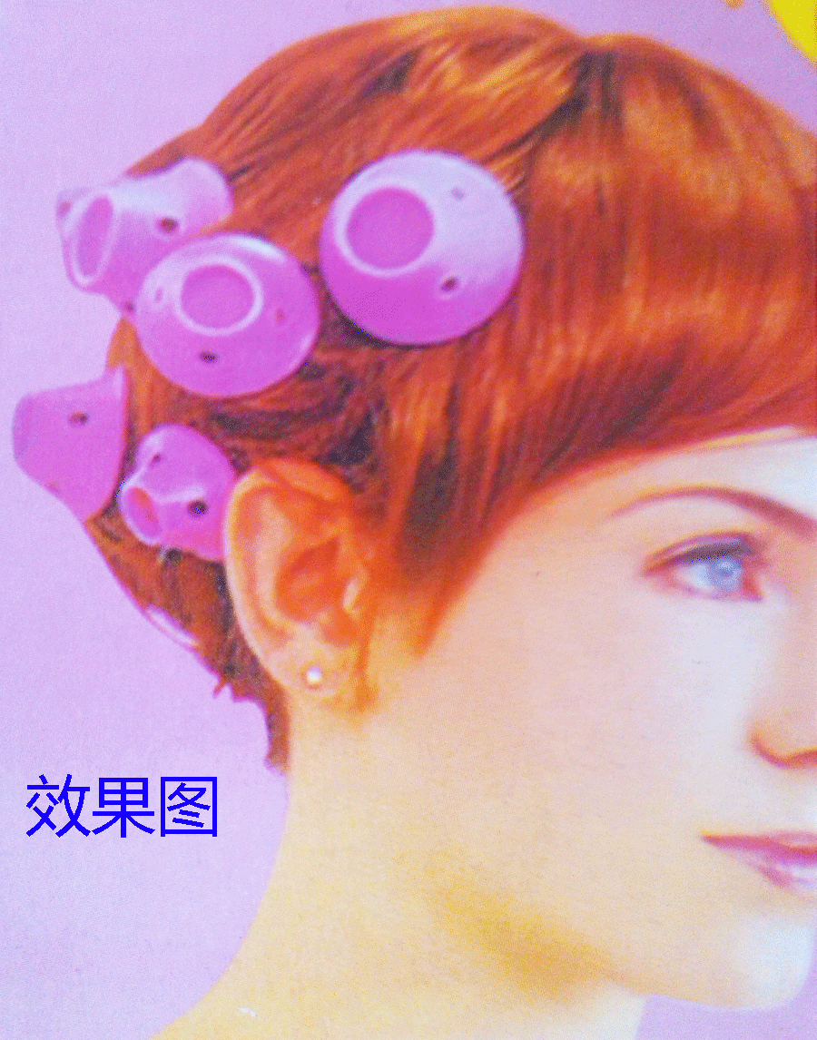卷发器、直发器实物图
