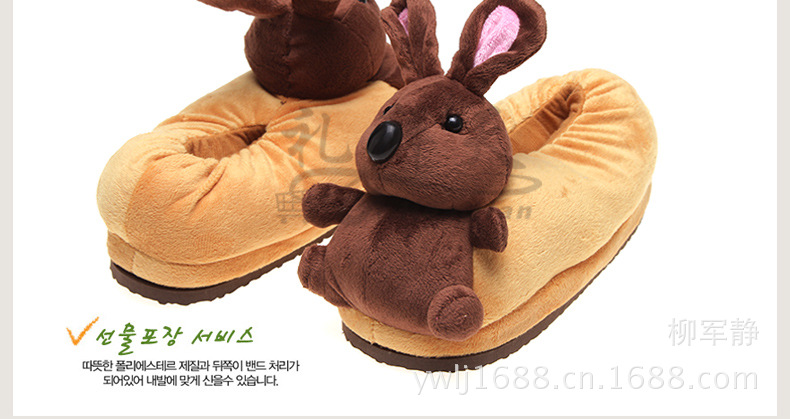 Winter new coral velvet stereo cotton slippers indoor cartoon cotton tows home cotton shoes supply a hair generation Application Scenario