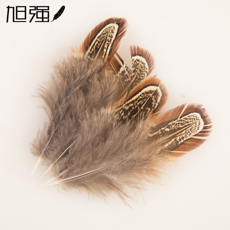 厂家直销山鸡大仓大昌羽毛 天然羽毛 山鸡羽毛野鸡毛厂家批发2-11