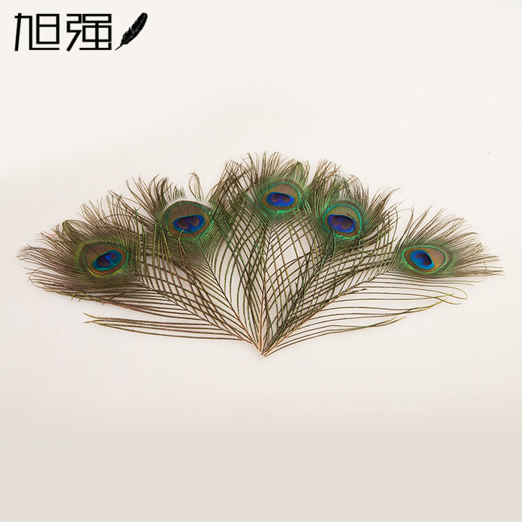 现货批发25/天然大眼睛孔/工艺品白底实物图