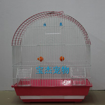 批发供应 喷塑白色鹦鹉繁殖鸟笼养殖鸟笼 优质表面处理鸟笼