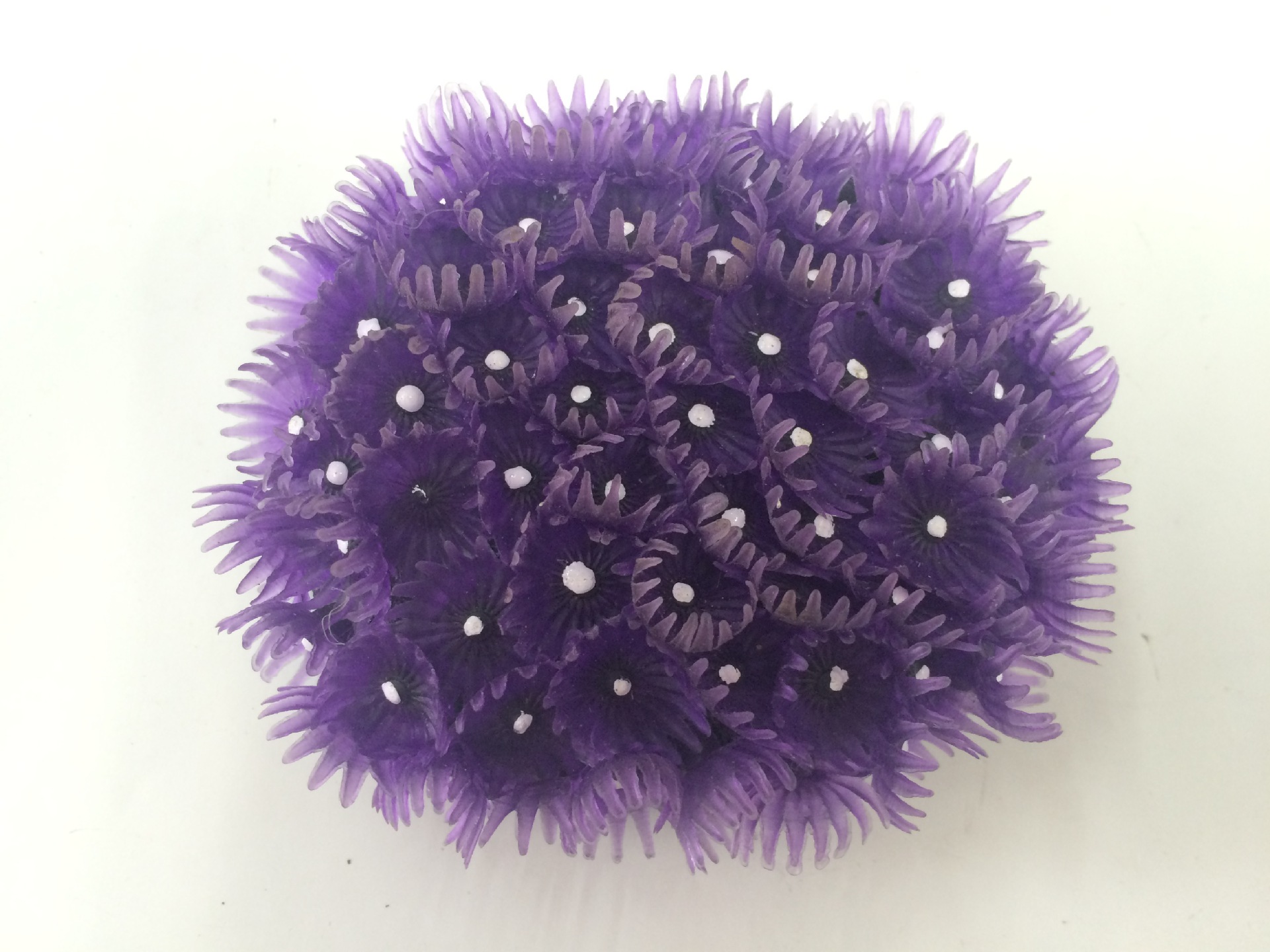 鱼缸仿真珊瑚/水族树脂工艺品造景装饰/紫色小珊瑚海胆球/批发产品图