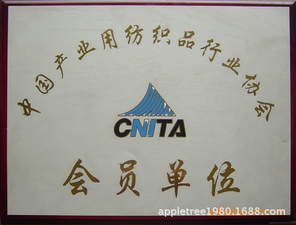 259686203_1040834280