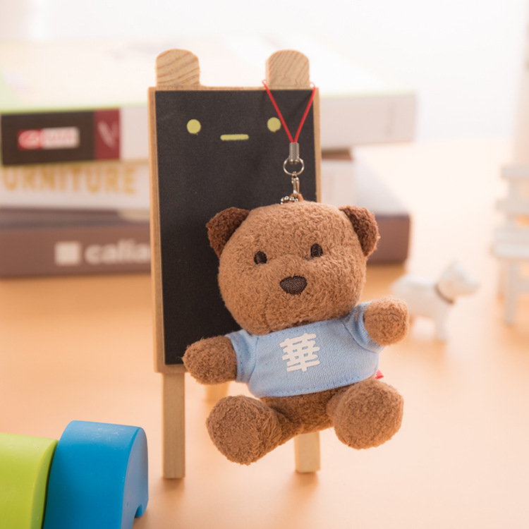 Colorful Bear Teddy Bear Dolls, 365 surnames with printed logos, date bears, plush toys, pendants, gift bears pic 30