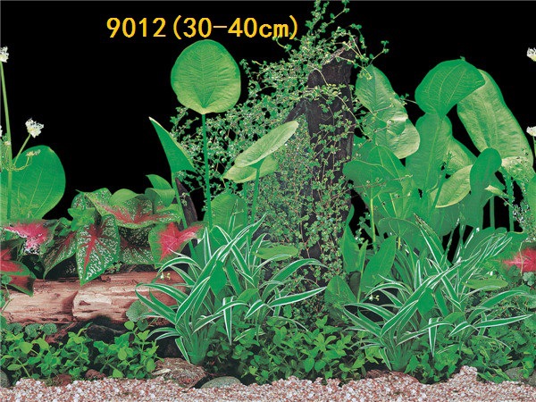 30cm tall, single-sided thin aquarium fish tank background painting, aquarium equipment and supplies glass sticker background painting Application Scenario