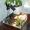 Glass aquarium turtle tank with balcony, small and medium-sized goldfish tank, water and land tank, ecological fish tank manufacturer wholesale details Picture