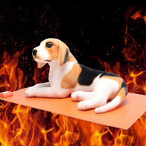 110V-220V manufacturer's heating dog house waterproof warm pad, pet warmth pad, electric blanket pad, globally universal