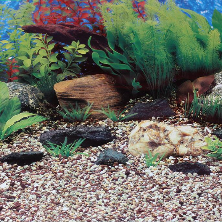 60cm double-sided thick fish tank background painting aquarium decoration background painting can be customized for multiple types of aquariums Specification image