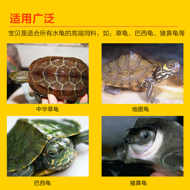观赏鱼饲料实物图