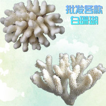 供应菜花白色珊瑚装饰品 水族鱼缸珊瑚产品 宝杰水族器材批发