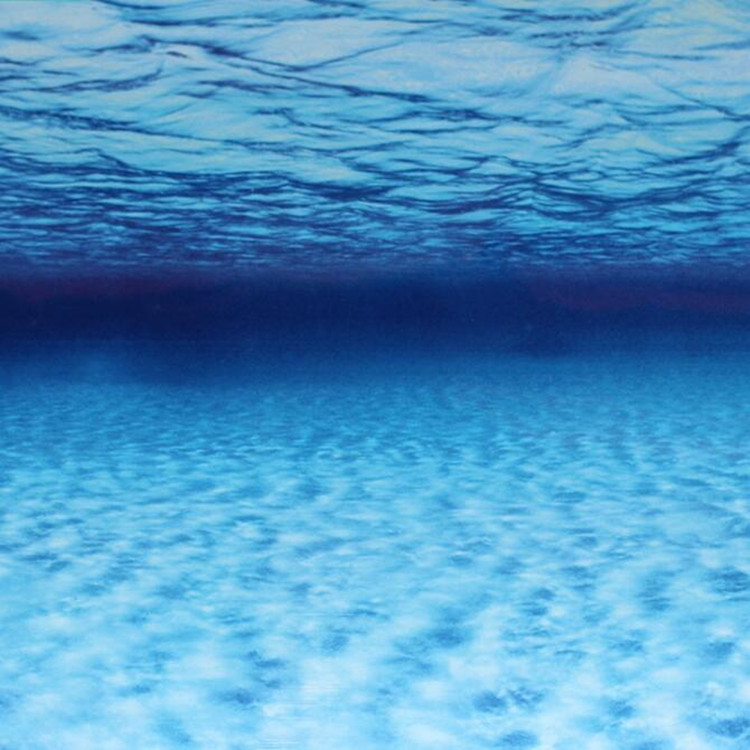 60cm double-sided thick fish tank background painting aquarium decoration background painting can be customized for multiple types of aquariums details Picture