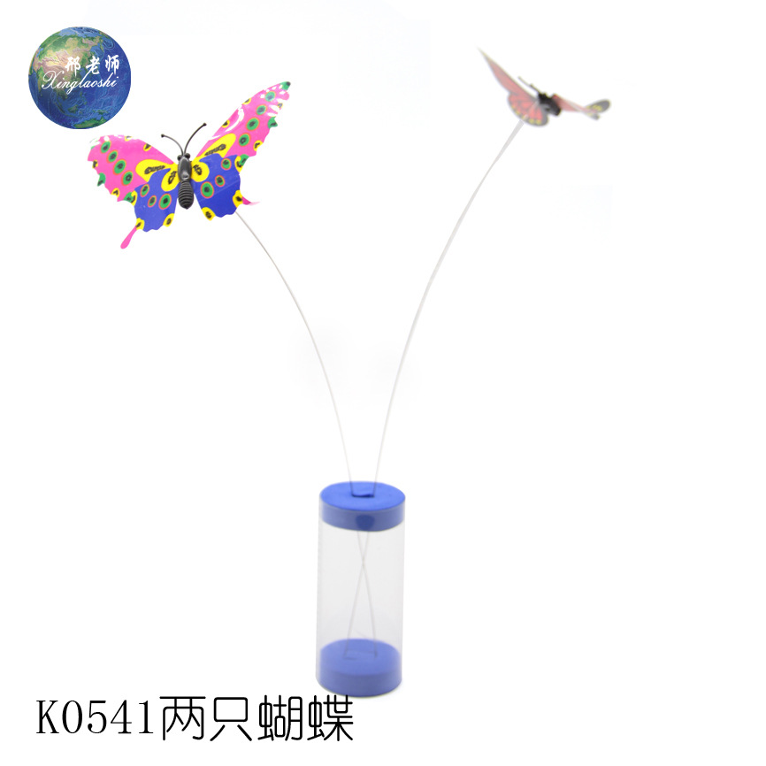 K0541 Two Butterflies Technology Small Creations and Inventions by Teacher Xing details Picture