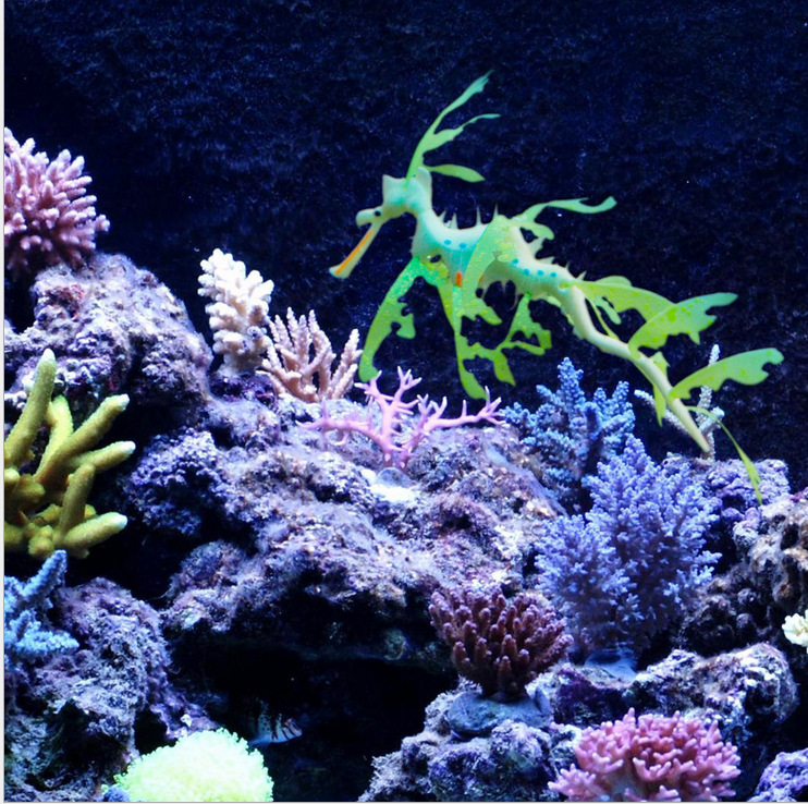 鱼缸造景 仿真动物海龙 荧光珊瑚水草 水族箱装饰用品批发详情图1