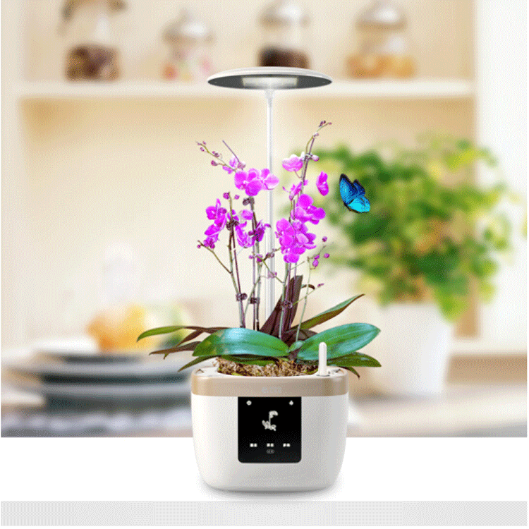 LAN Yuan Smart Flower POTS Office smart planting potted plants Creative flower POTS fully automatic flower POTS white